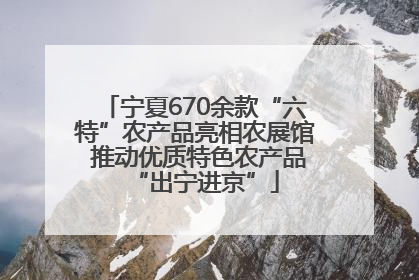 宁夏670余款“六特”农产品亮相农展馆 推动优质特色农产品“出宁进京”